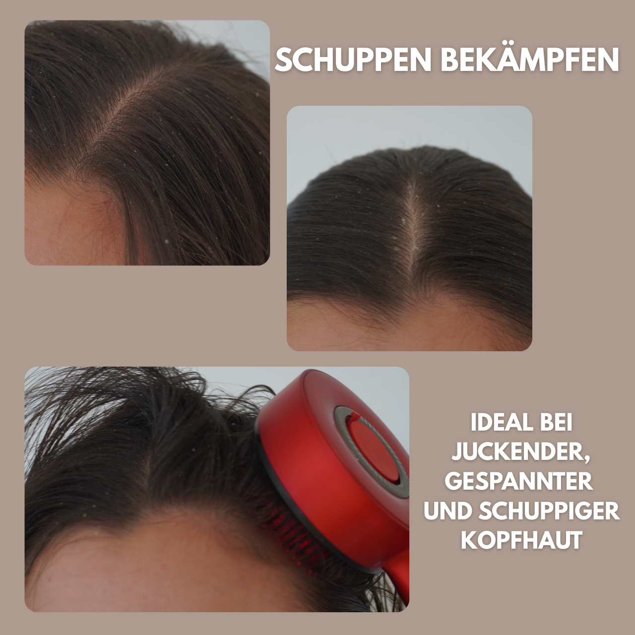 Rotlichtbürste